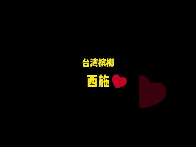 看过来这个就是 台湾可爱的 槟榔西施 #台湾胖胡 #台湾女生 #槟榔西施