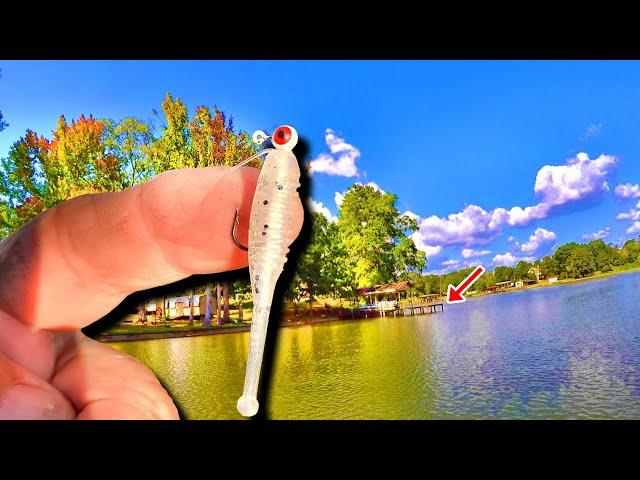 How To Catch Loads Of Crappie This Fall! Crappie Fishing 2024