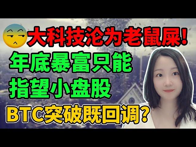 下周交易指南！安排的明明白白NaNa说美股(2024.11.22)