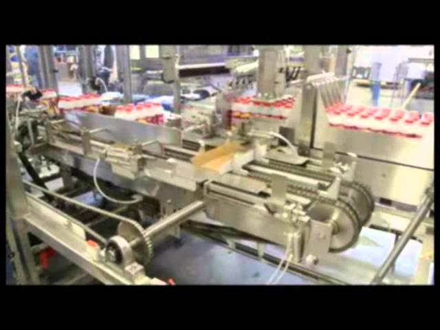 ARPAC's EL-2100 Case Packer and 25TW Tray Wrapper Integrated System