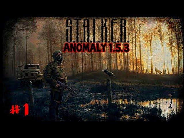 S.T.A.L.K.E.R.ANOMALY 1.5.3 #1 Тяжёлая Вылозка Болота.