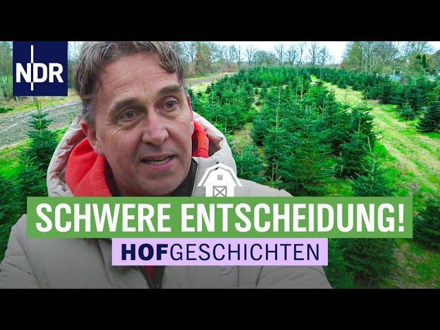 In den Gewächshäusern gibt es Christrosen & Tomaten | Hofgeschichten: Leben auf dem Land (311)