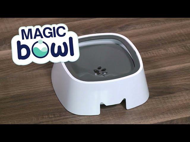 Magic Bowl from JML