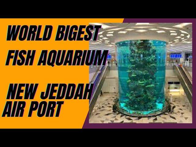 World's Biggest Fish Aquarium in Jeddah Airport Terminal 1  @ New Jeddah Airport  Saudi Arabia