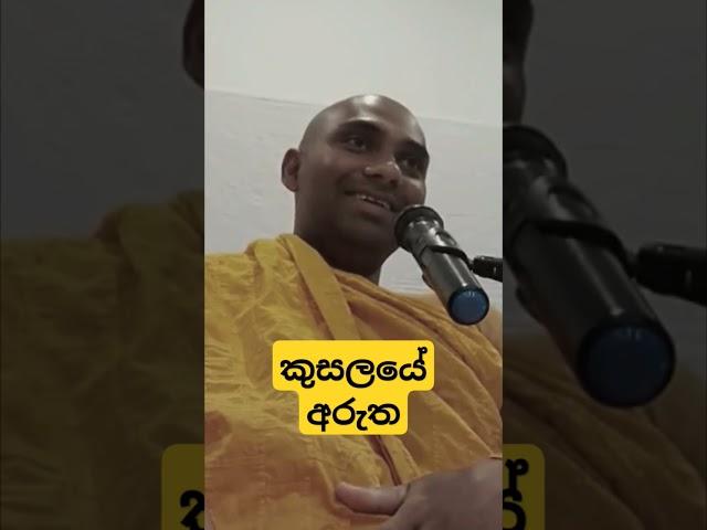 කුසලය කුමක්ද? #wangeesa #akaliko