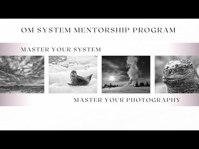 2024 OM System Mentorship Program Promo Video - OM System Ambassador