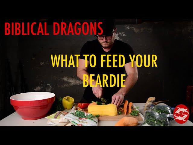 Best Food for Bearded Dragons