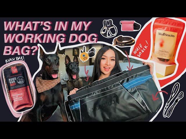 WHAT'S IN MY BAG? DOG MOM EDITION