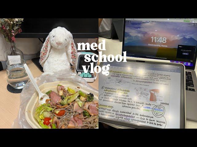 med school vlog 🩺 | updates, just mugging really