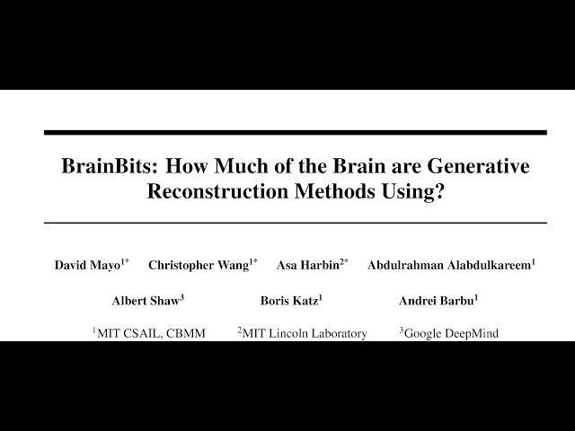 BrainBits: How Much of the Brain are Generative Reconstruction Methods Using?