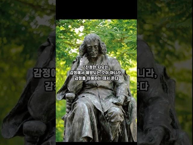 스피노자의 인생 명언#명언 #철학자 #동기부여#인생명언#명상#통찰
