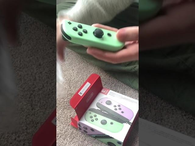 A Nintendo Pastel Green & Purple Joycon Unboxing!