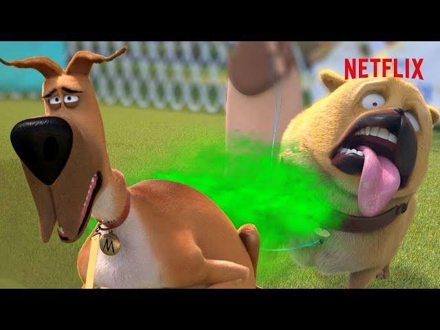 Marmaduke Blows Up The Dog Show!  | Netflix