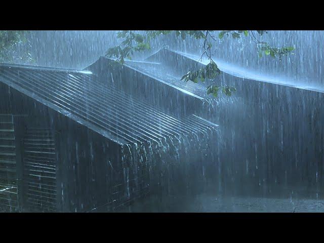 Falling Asleep with Torrential Rain & Thunder Reverberated on Dull Corrugated Iron Roof at Night