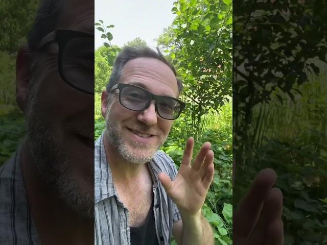Grow FOOD without Work? IMPOSSIBLE! Unless you’re Mother Nature!