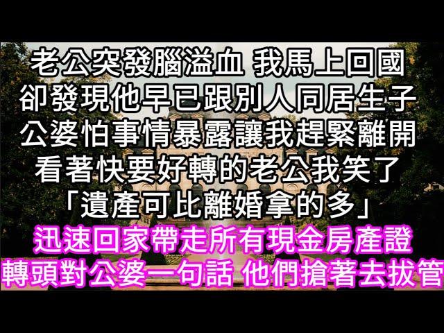 老公突發腦溢血 我馬上回國卻發現他早已跟別人同居生子公婆怕事情暴露讓我趕緊離開看著快要好轉的老公我笑了「遺產可比離婚拿的多」#心書時光 #為人處事 #生活經驗 #情感故事 #唯美频道 #爽文