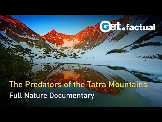 The Tatra Mountains - Wild at Heart | Full Documentary Episode 1