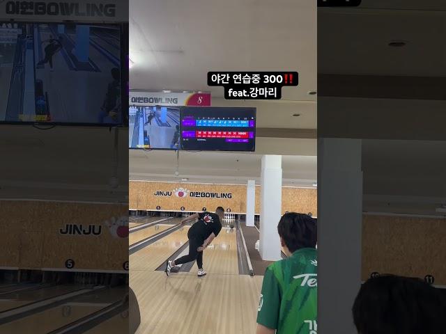 야간 연습중 퍼펙트300‼️(feat.강마리)