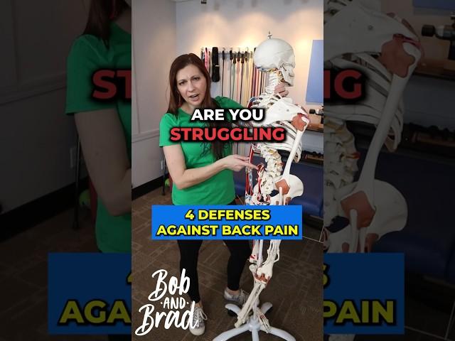 4 Defenses Against Back Pain #backpainrelief  #spinehealth  #healthtips