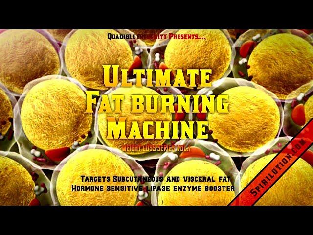 The Ultimate Fat Burning Machine