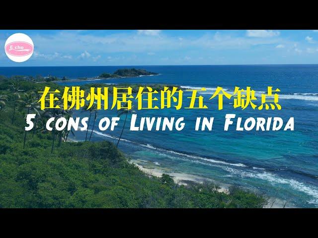 看了这一期再也不想去佛州 不适合在佛罗里达居住的五个原因 5 Cons Of Living In Florida 【Echo在美国】 Echo's happy life 【Echo的幸福生活】