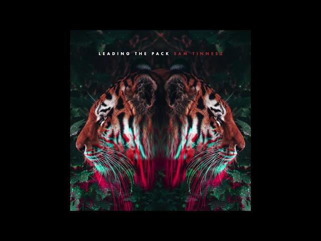 Sam Tinnesz - Leading The Pack [Official Audio]