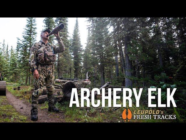 Overcoming Injury | ARCHERY Elk in Idaho #FreshTracks