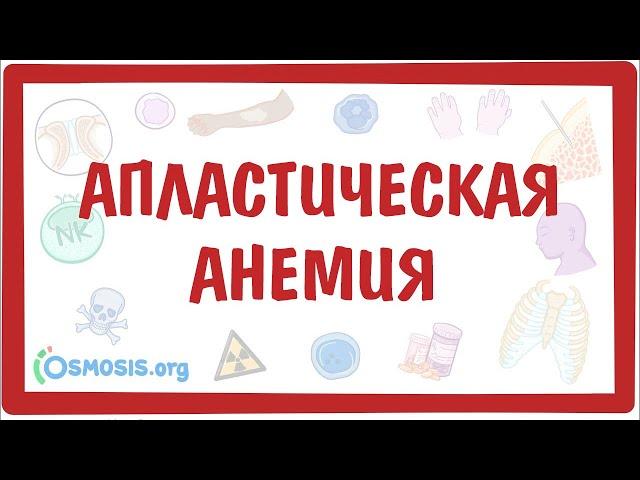 Апластическая анемия — причины, симптомы, патогенез, диагностика, лечение