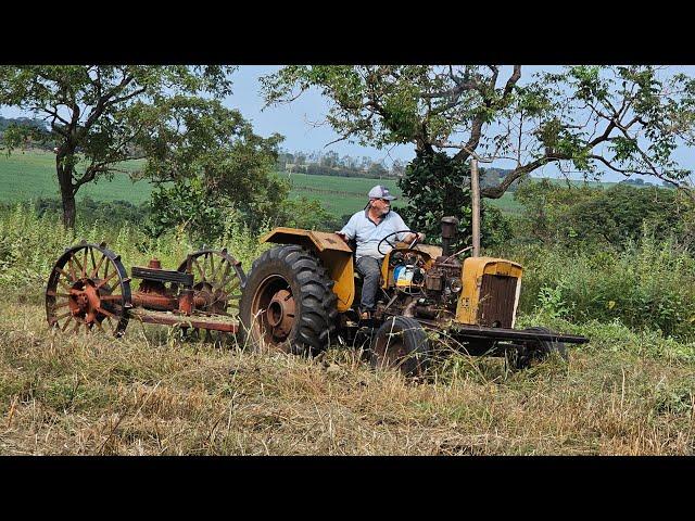 VIDA NA ROÇA | MAURÍCIO ROÇANDO OS PASTOS | FIZEMOS GOIABADA !