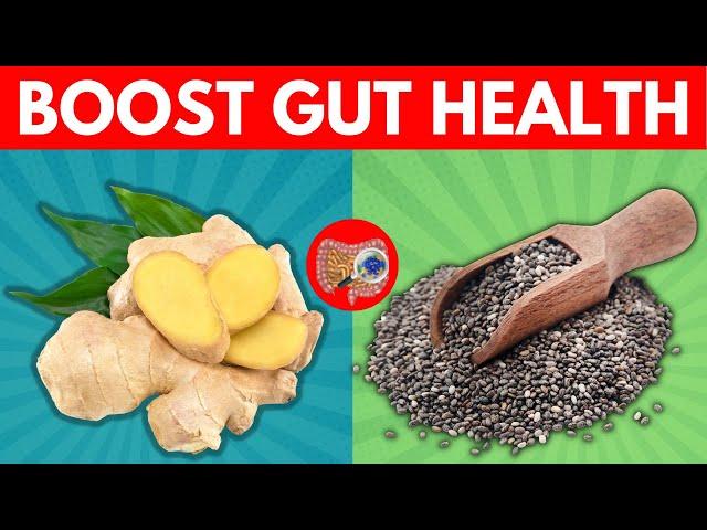 Top 15 Best Foods For Gut Health And Digestion