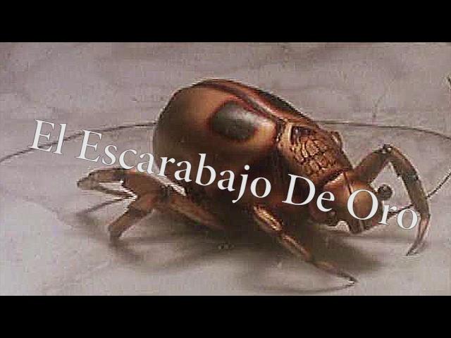 EL ESCARABAJO DE ORO - EDGAR ALLAN POE (Resumen y Reseña)