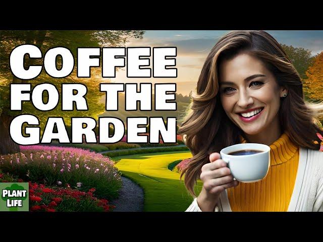 Coffee Grounds For Your Garden!