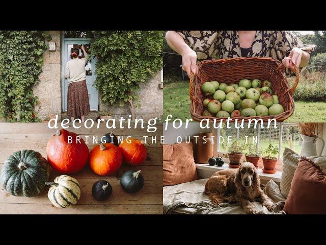 Decorating our Cornish Cottage for Autumn  bringing the outside in 