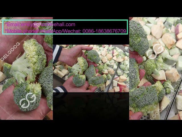 How To Freeze Broccoli-IQF Vegetables