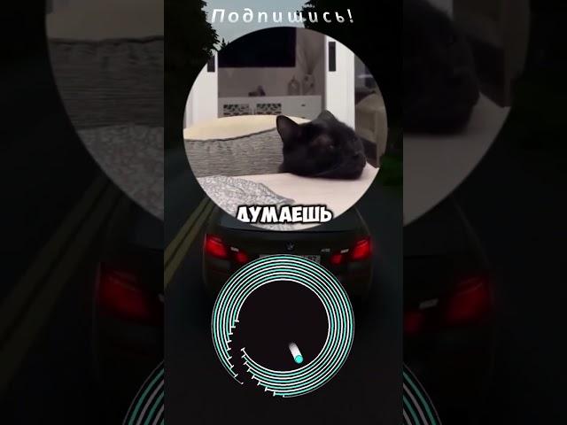 Круг смеха