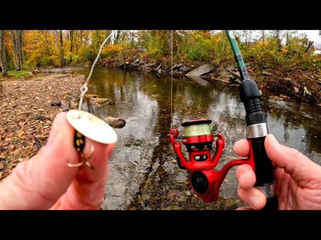 Trout Fishing with #2 Panther Martin spinner