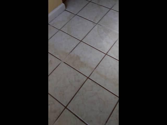 During Professional Tile & Grout Cleaning NJ ProCleanersNJ 973-343-7627