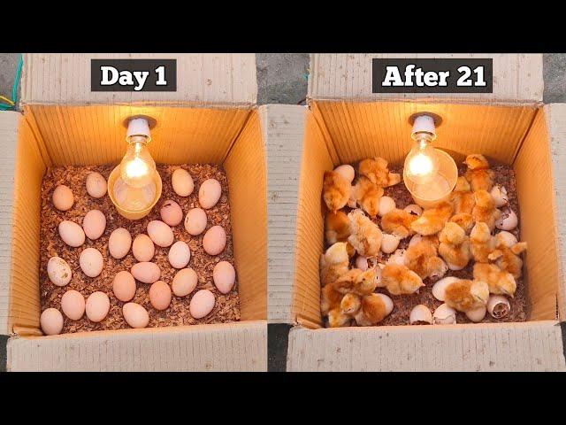 How to make a home incubator simple and easy | Home incubator for chicken eggs