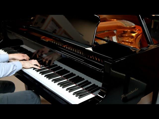 Bosendorfer 170 Baby Grand Piano Demo - Atlantic Music Center