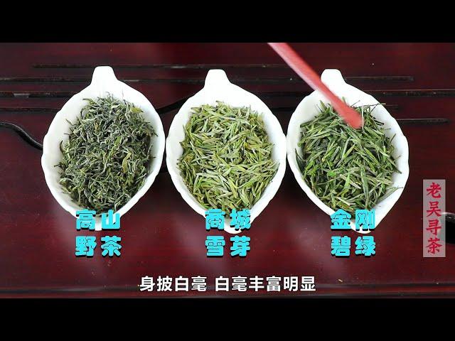 【老吴寻茶】这三款特色信阳毛尖茶，为什么只有商城县产？如何鉴别和冲泡呢？