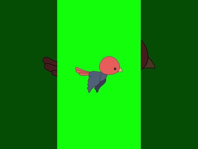 3 Birds Flying Green Screen | No Copyright Chroma Key Footage #greenscreen #birdgreenscreen