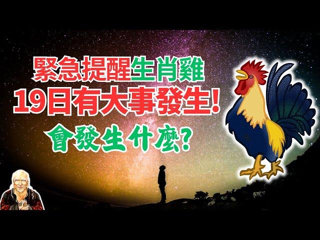 命理推算：生肖雞3天內波瀾起伏！10月19日隱藏驚喜，有不可錯失的良機，將迎驚天大轉折！接！ #生肖雞運勢 #生肖雞運程 #屬雞人運程 #屬雞人運勢