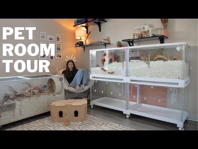 Pet Room Tour 2024