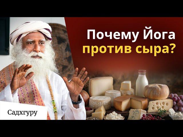 Польза и вред ферментированных продуктов для здоровья вашего кишечника