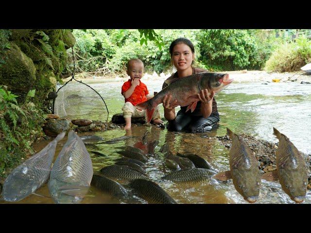 10 days away from husband: Catching giant carp with children - Goes to sell | Trieu Thi Thuy.