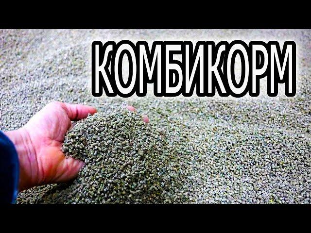 ДЕЛАЮ СВОЙ КОМБИКОРМ. МОЙ РЕЦЕПТ КОМБИКОРМА ДЛЯ НЕСУШЕК!