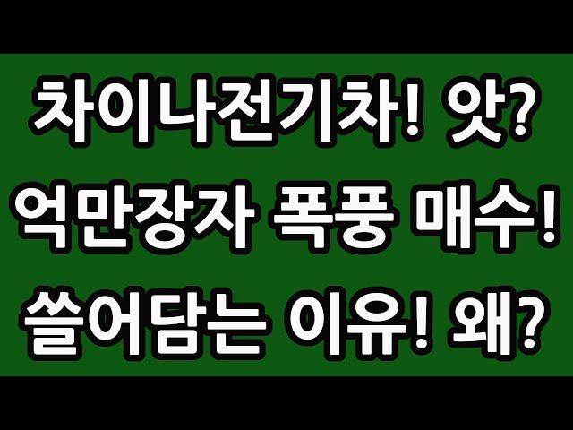 차이나 전기차 억만장자 폭풍 매수! 왜? 중국 주식 주가 전망 TIGER 타이거 ETF SOLACTIVE 테슬라 니콜라 루시드 엔비디아 아이온큐 TQQQ SOXL TMF