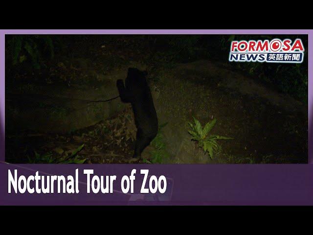 Taipei Zoo introduces nighttime hours on Saturdays during summer vacation｜Taiwan News