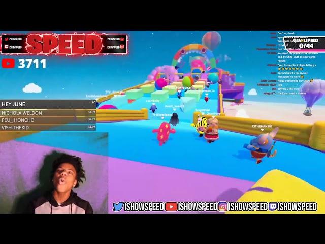 FALL GUYS LIVE STREAM!