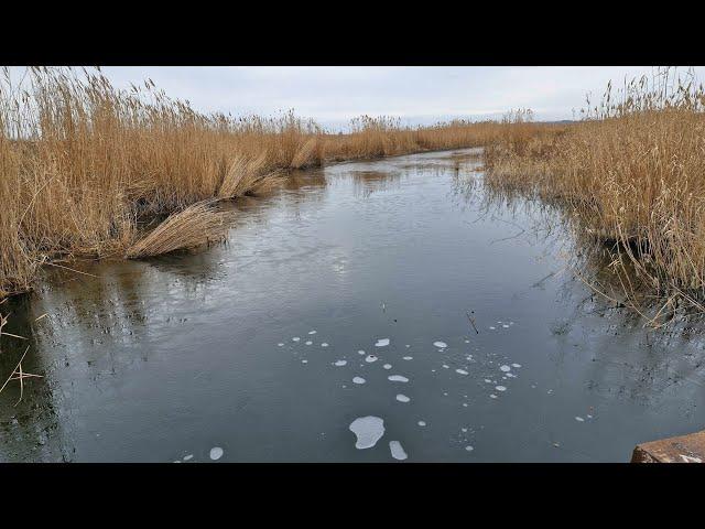 Вчера была зима  15 12 2024